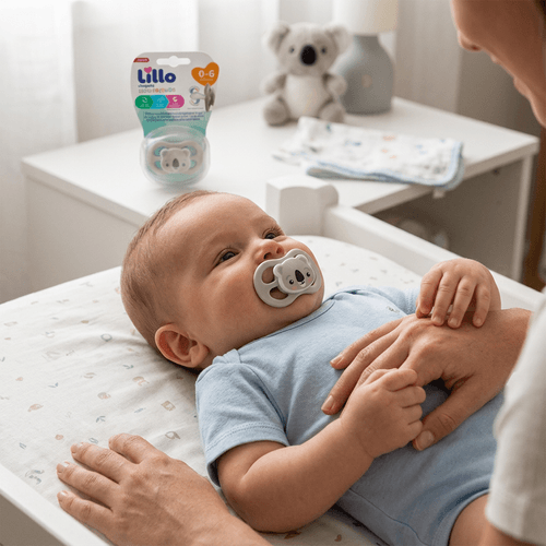 Chupeta Lillo Little Friends Brilha no Escuro 0-6 Meses