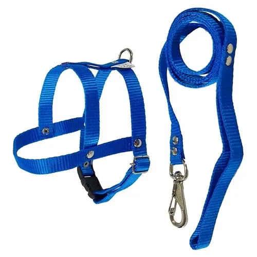 Guia com Peitoral Mais Dog Macho N01