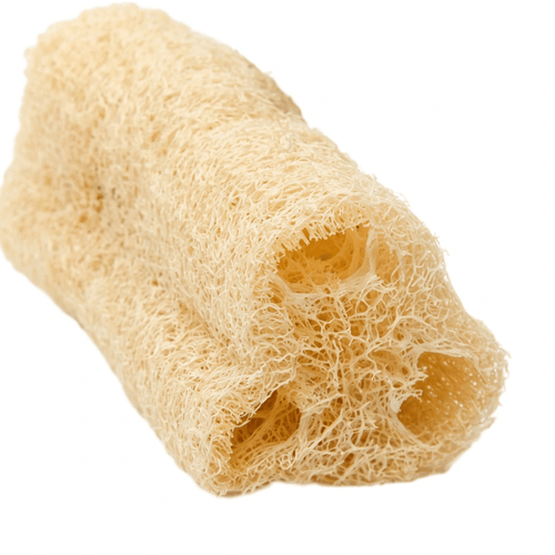 Bucha Vegetal Quinta Semente Natural Dupla