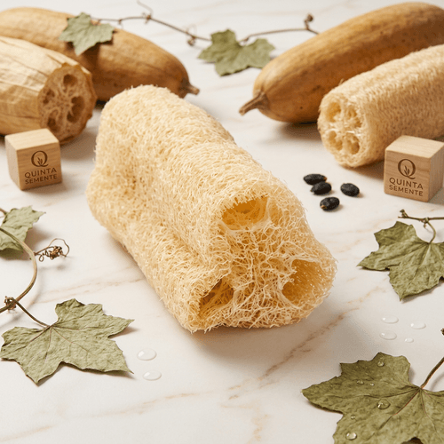 Bucha Vegetal Quinta Semente Natural Dupla